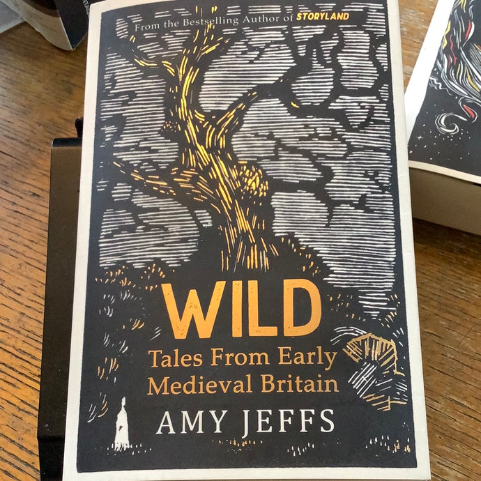 Wild. Tales from early medieval Britain