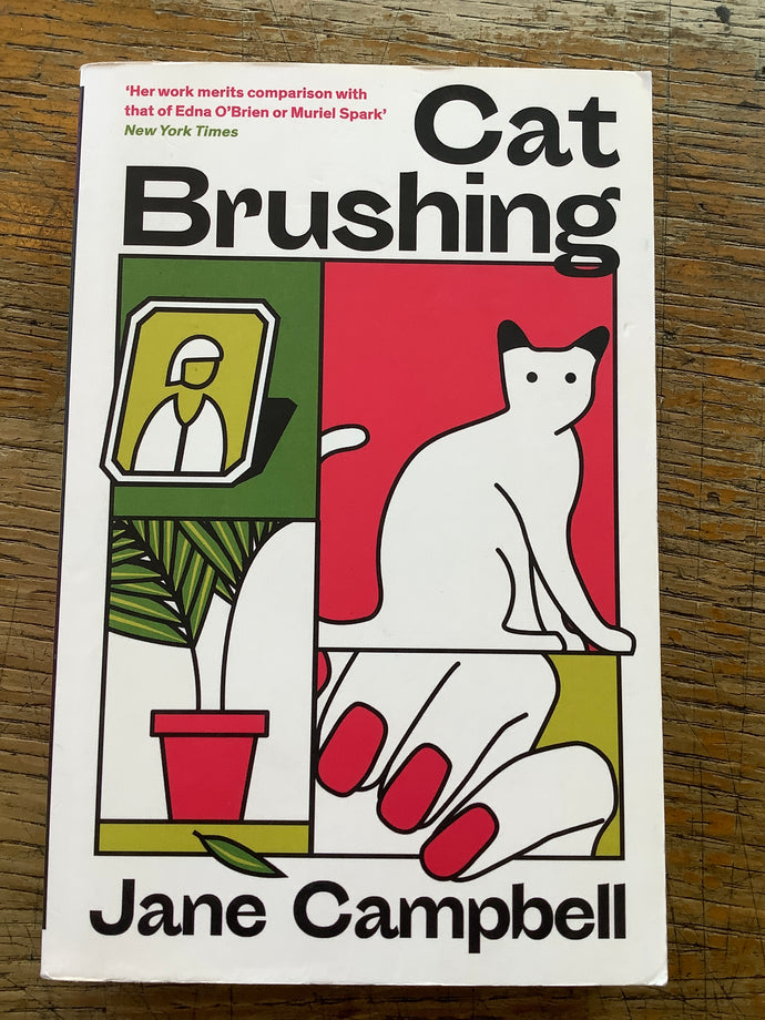 Cat Brushing