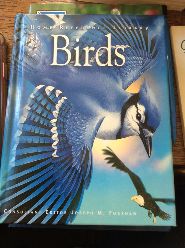 Birds