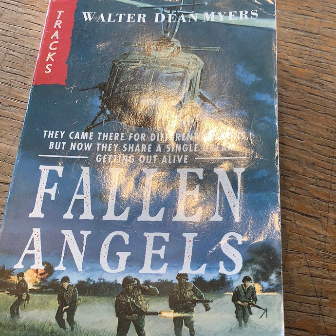 Fallen angels   Walter dean myers