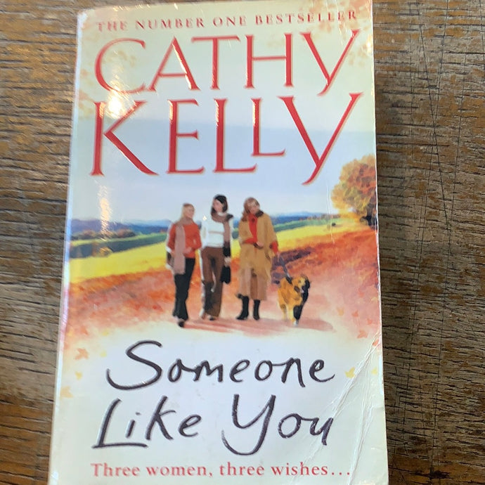 Someone like you