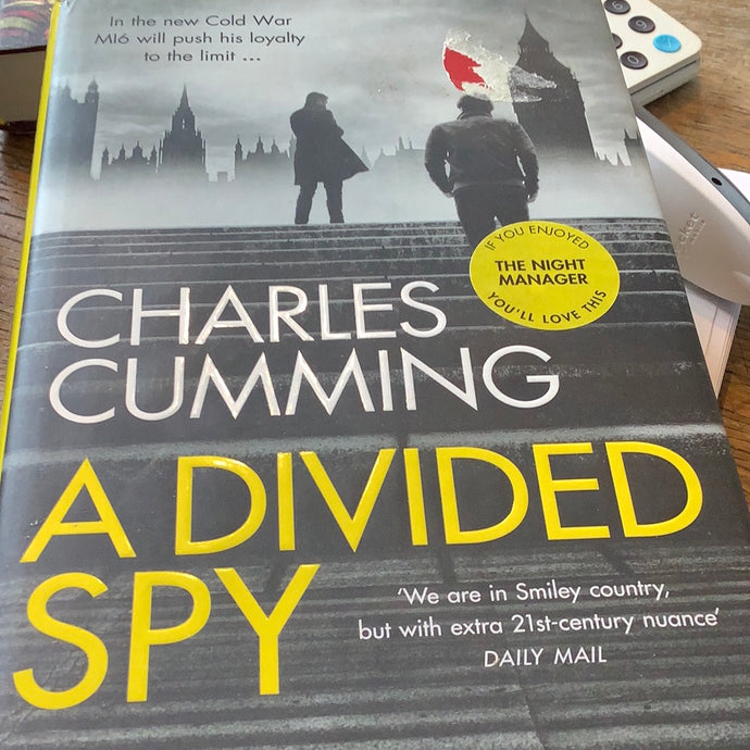 A Divided Spy