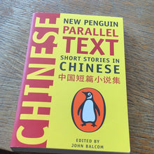 Load image into Gallery viewer, Parallel text short stories in Chinese
