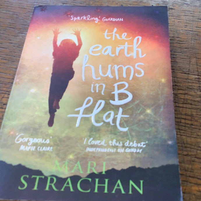 The earth hums in b flat   Mari strachan