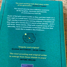 Load image into Gallery viewer, There are little kingdoms   Kevin Barry
