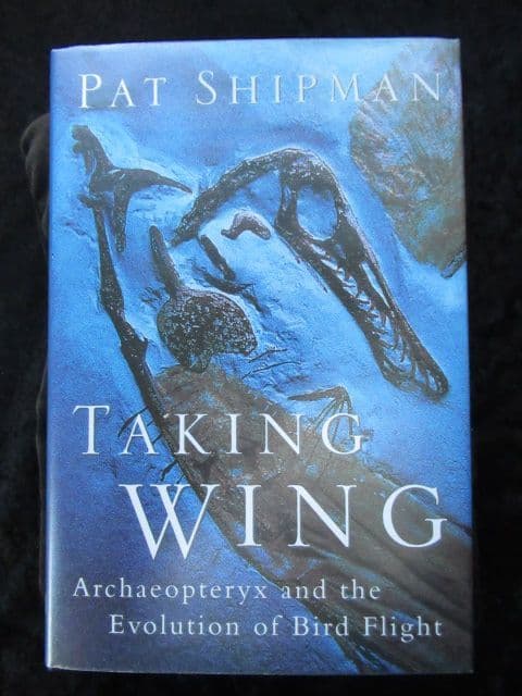 Taking Wing
